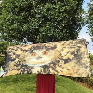 3D Owl Rectangle Scarf - Light Brown