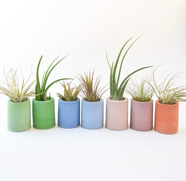 AIr Planter Holder - Mini Planter - Concrete - Modern - Succulent Planter - Wedding/Shower Favor - Office Desk Decor - Toothpick Holder