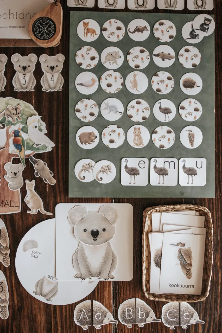 Australian Animals and Flora Morning Basket