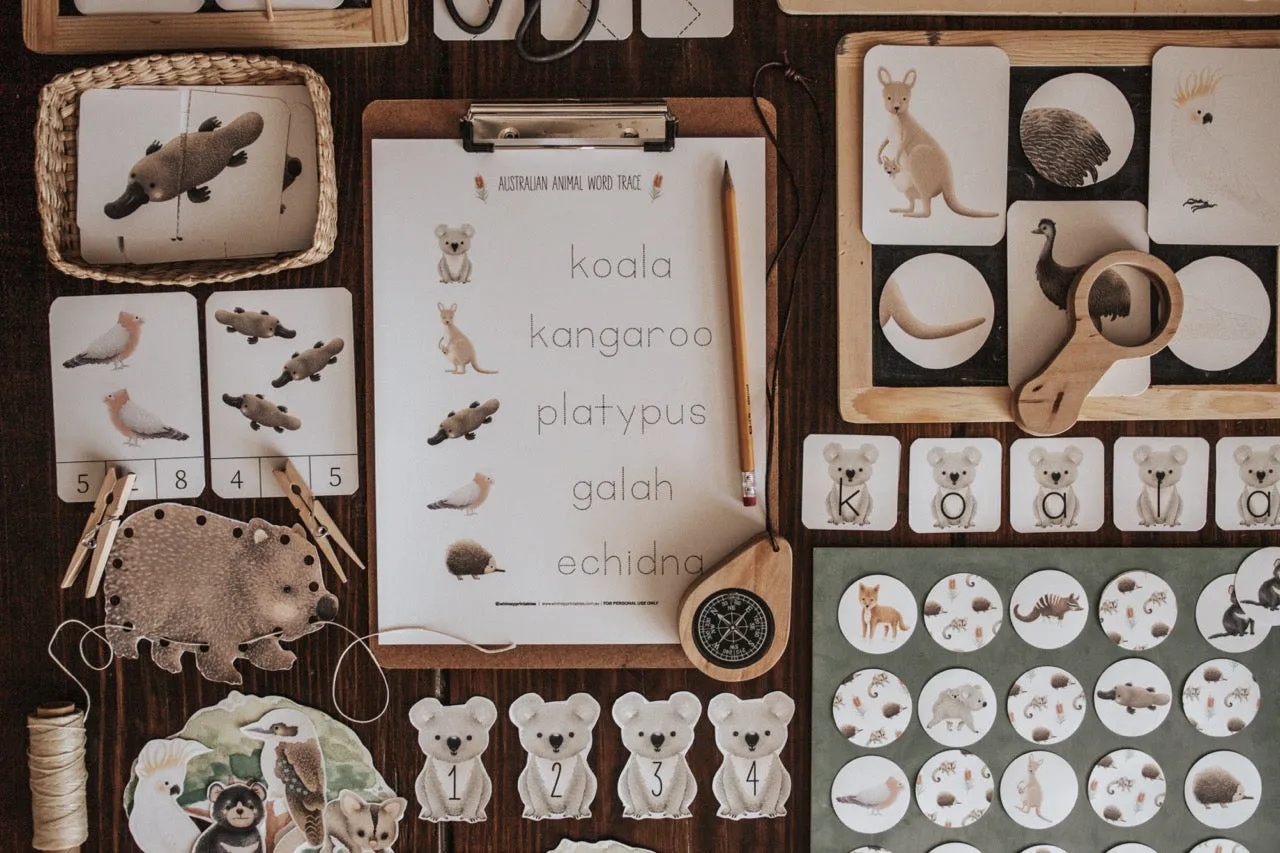 Australian Animals and Flora Morning Basket