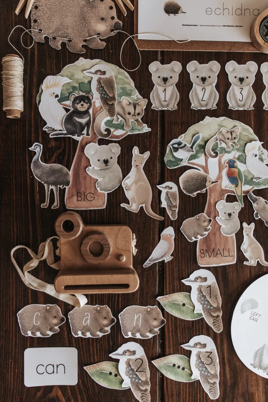 Australian Animals and Flora Morning Basket