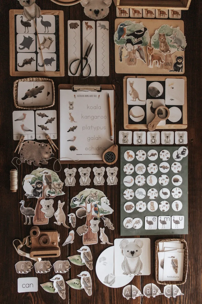 Australian Animals and Flora Morning Basket