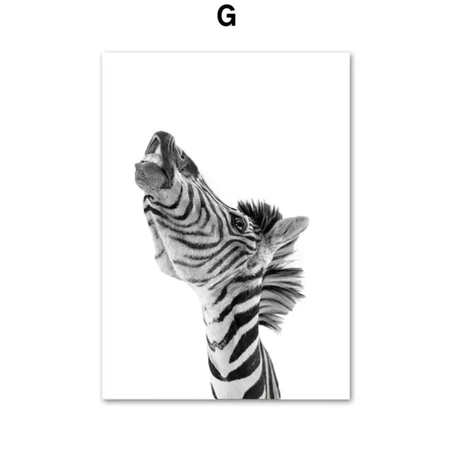 Black & White Polar Bear Monkey Sloth Fox Animals Wall Art Painting