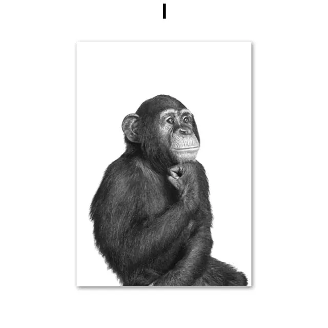 Black & White Polar Bear Monkey Sloth Fox Animals Wall Art Painting