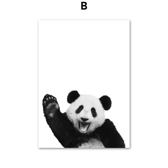 Black & White Polar Bear Monkey Sloth Fox Animals Wall Art Painting