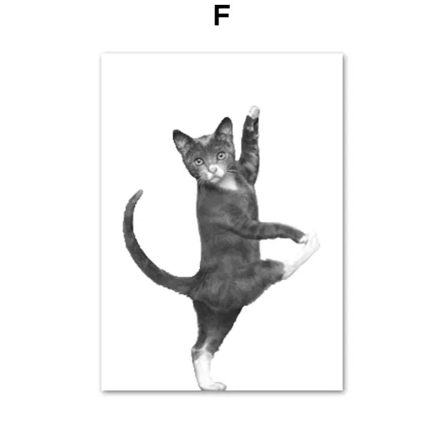 Black & White Polar Bear Monkey Sloth Fox Animals Wall Art Painting