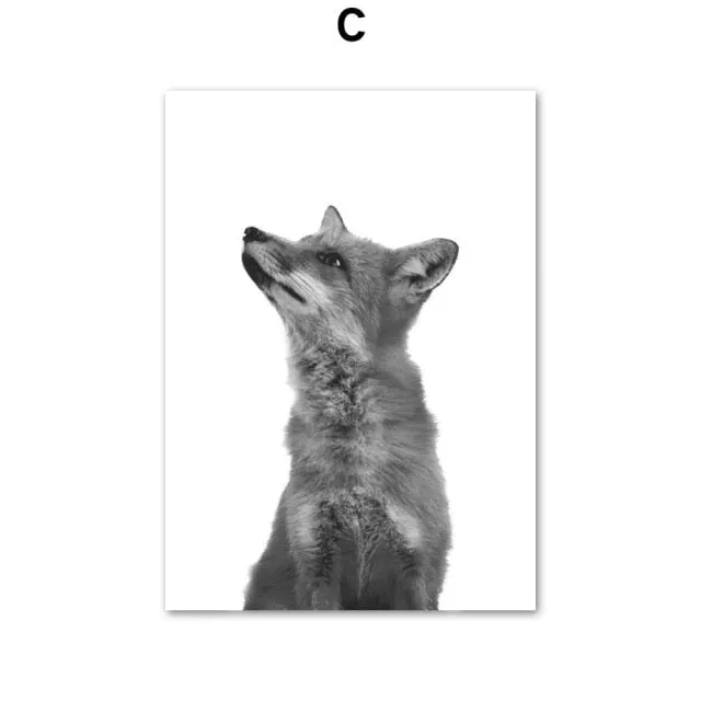 Black & White Polar Bear Monkey Sloth Fox Animals Wall Art Painting