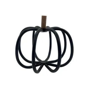 Black Wire Pumpkin