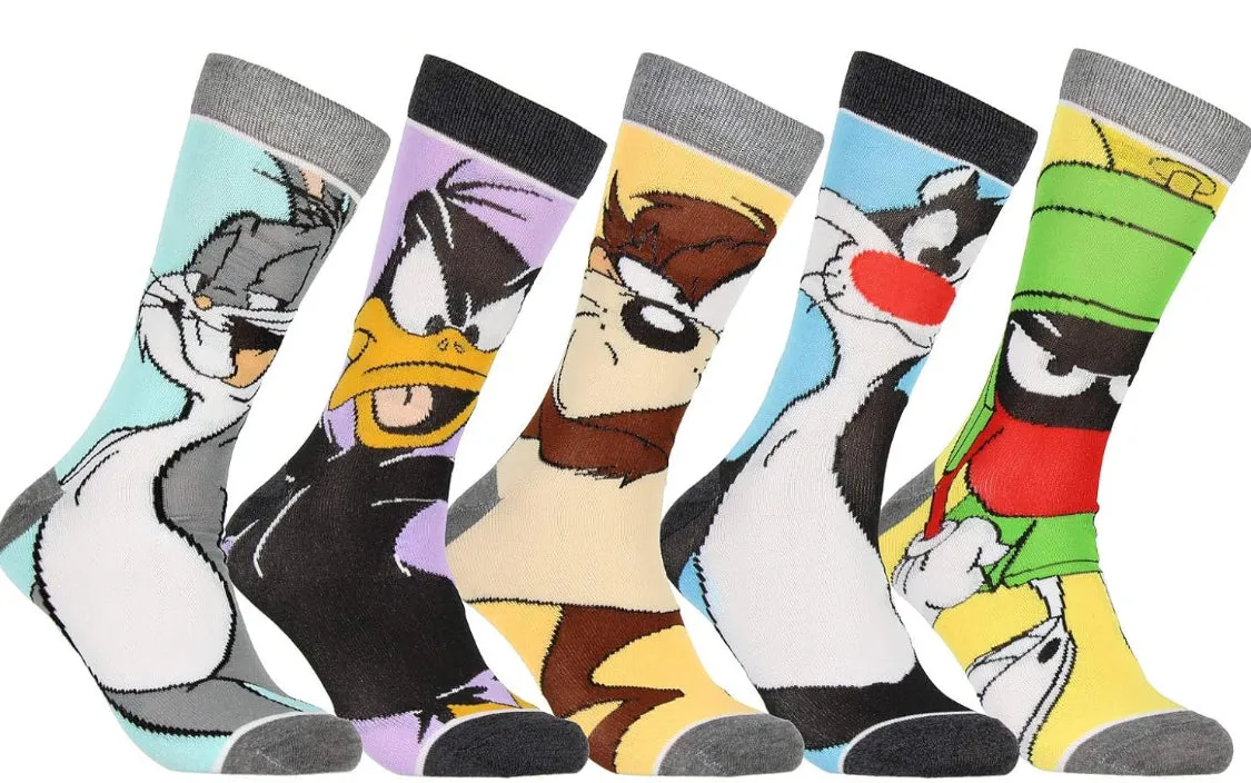 Character Socks