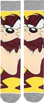 Character Socks