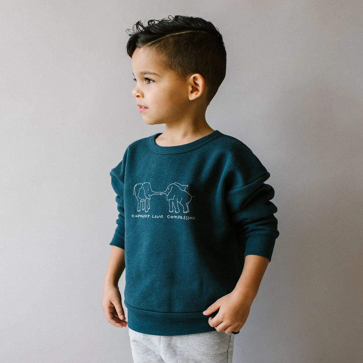 'curiosity love compassion' pullover