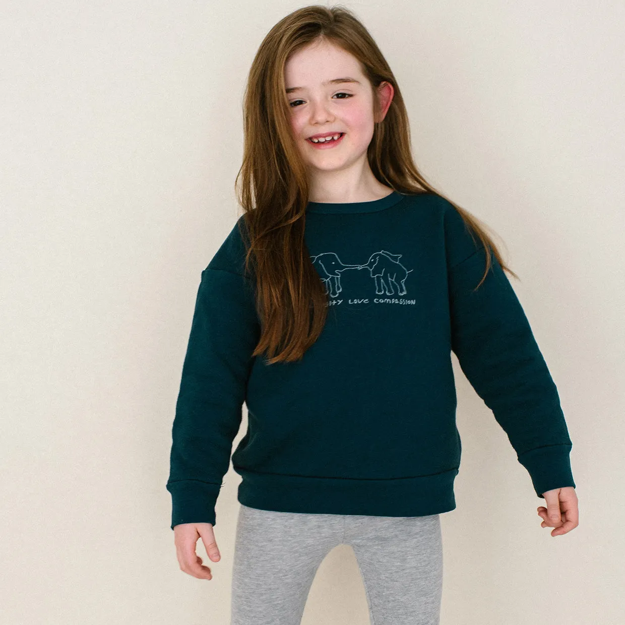 'curiosity love compassion' pullover
