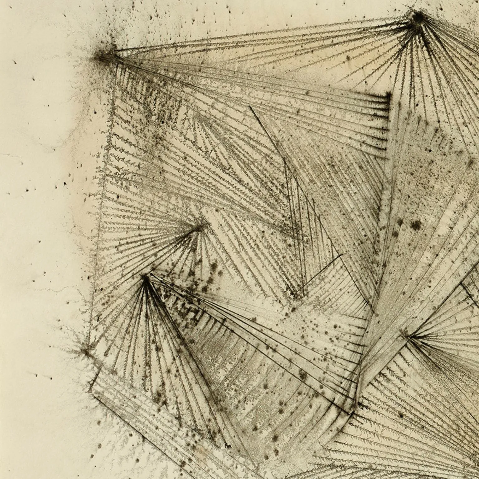 DOROTHY DEHNER “UNTITLED” INK AND CHARCOAL, 1952
