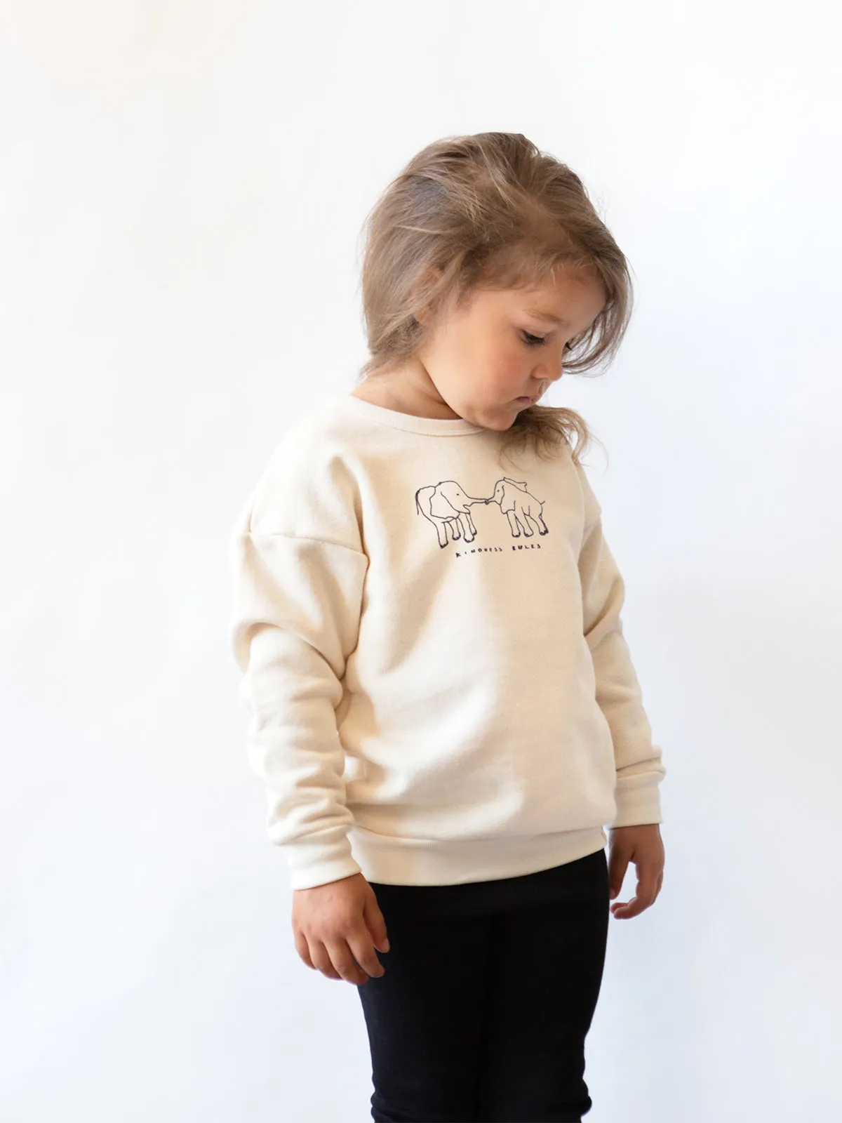 'kindness rules' pullover