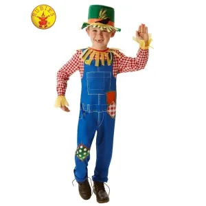 Mr Scarecrow Child Size M