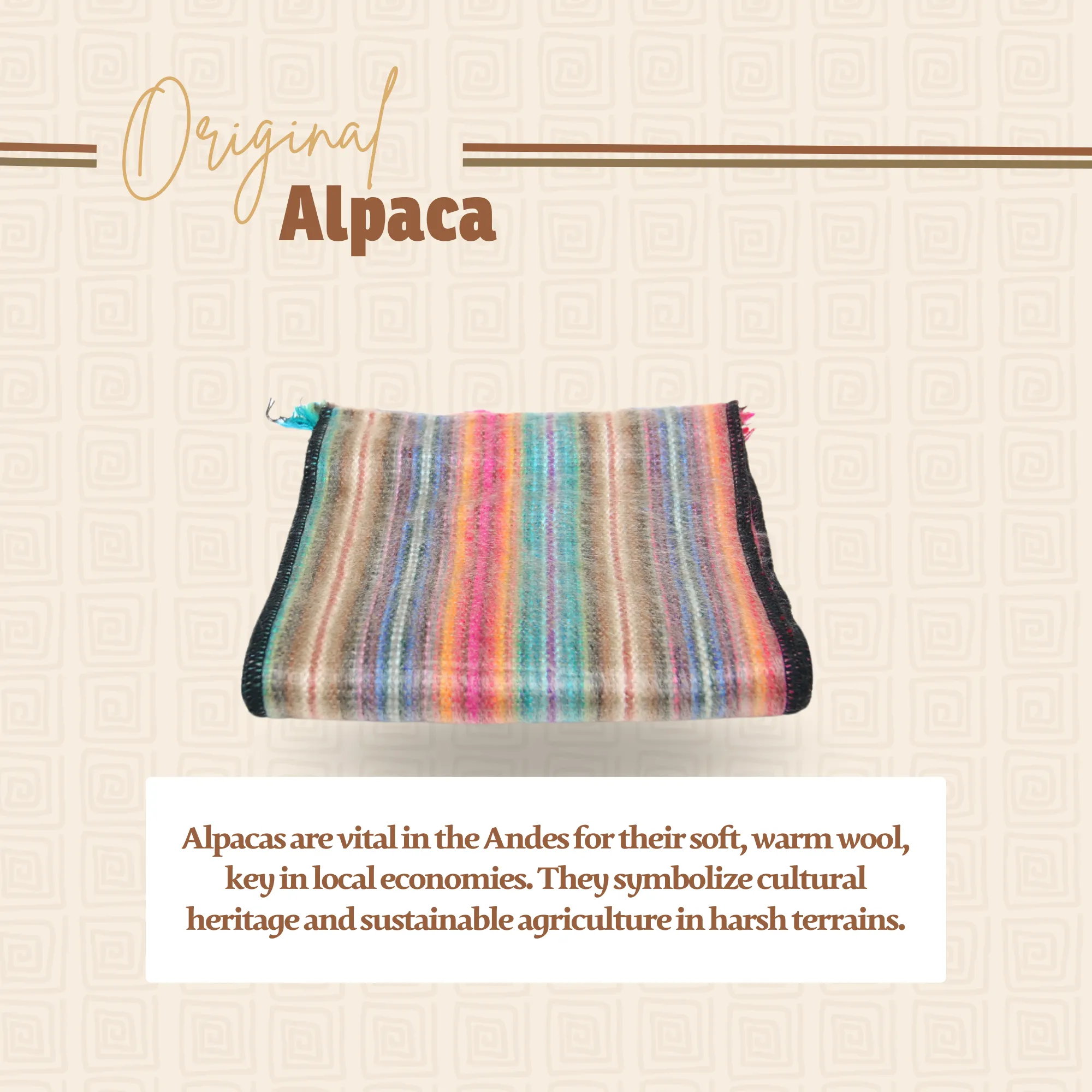 Multicolor Alpaca Traditional Scarf
