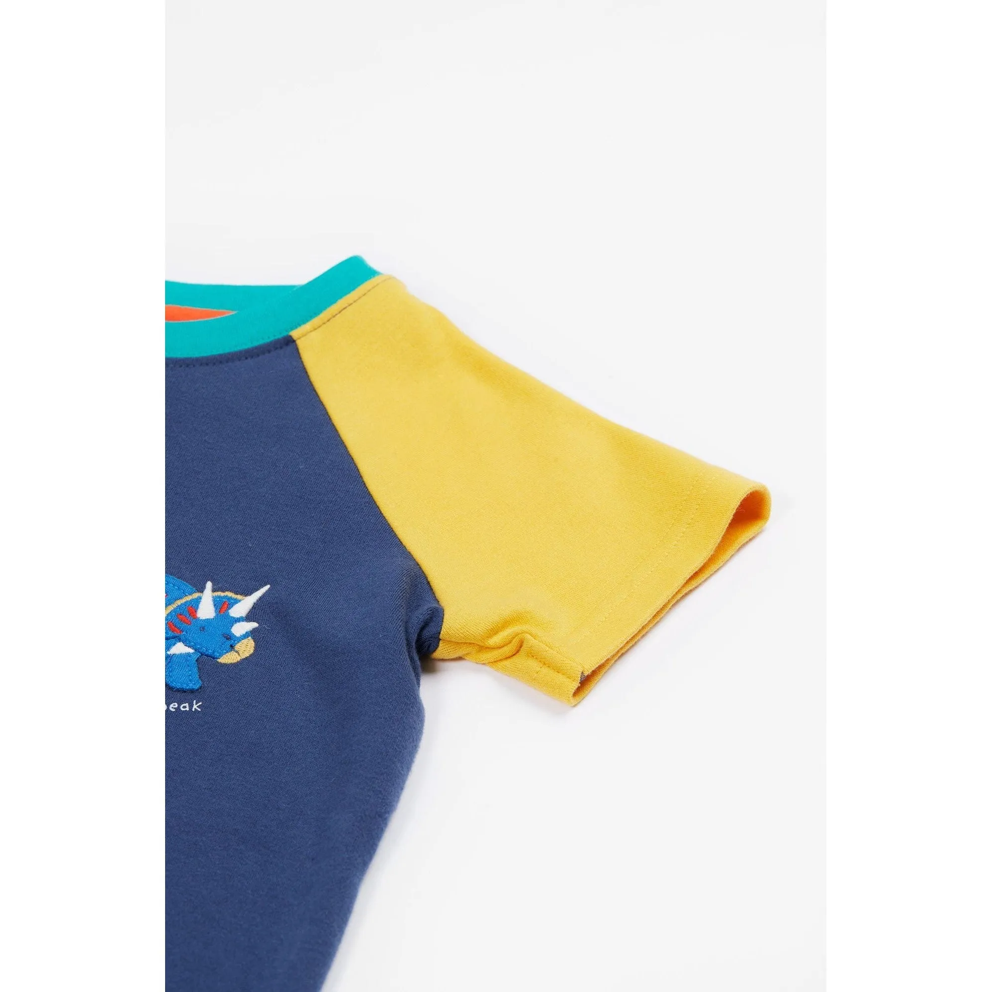 Navy Blue / Dino Renny Raglan T-Shirt