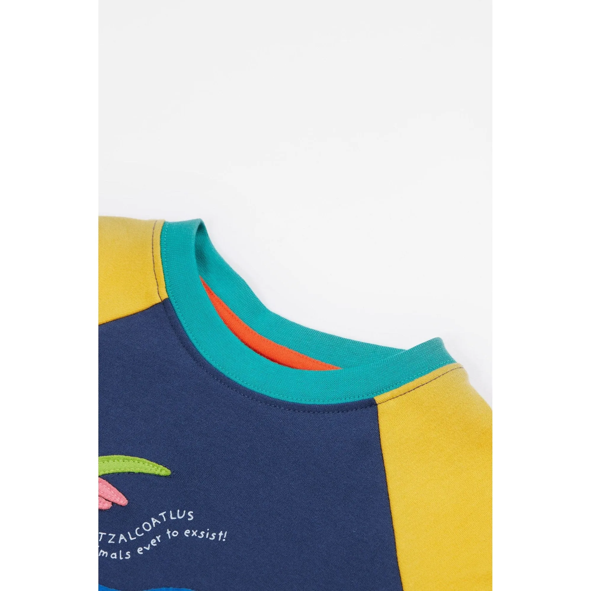 Navy Blue / Dino Renny Raglan T-Shirt