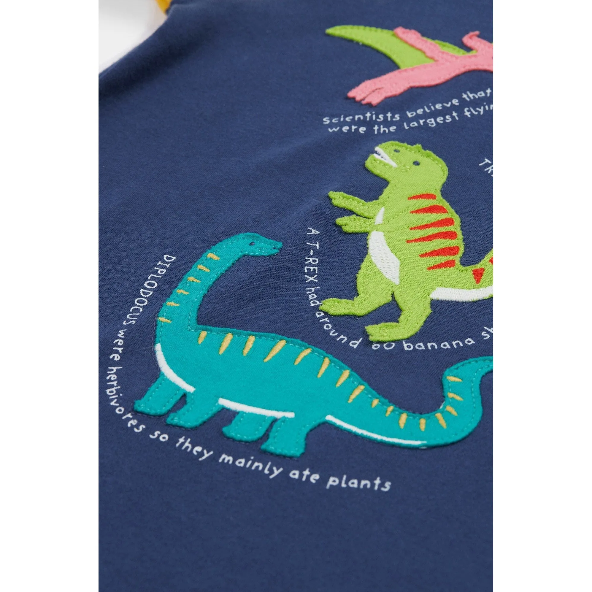 Navy Blue / Dino Renny Raglan T-Shirt