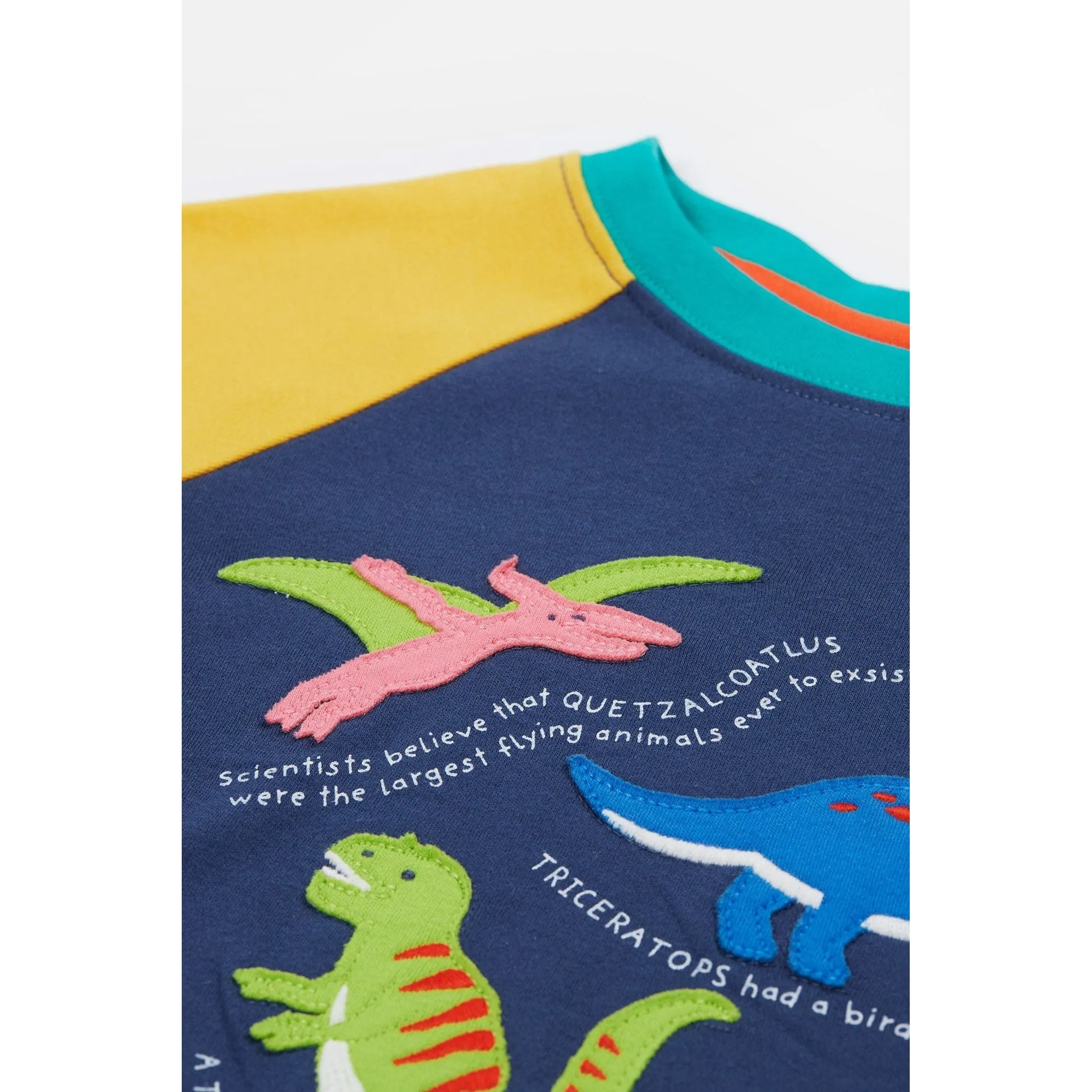 Navy Blue / Dino Renny Raglan T-Shirt