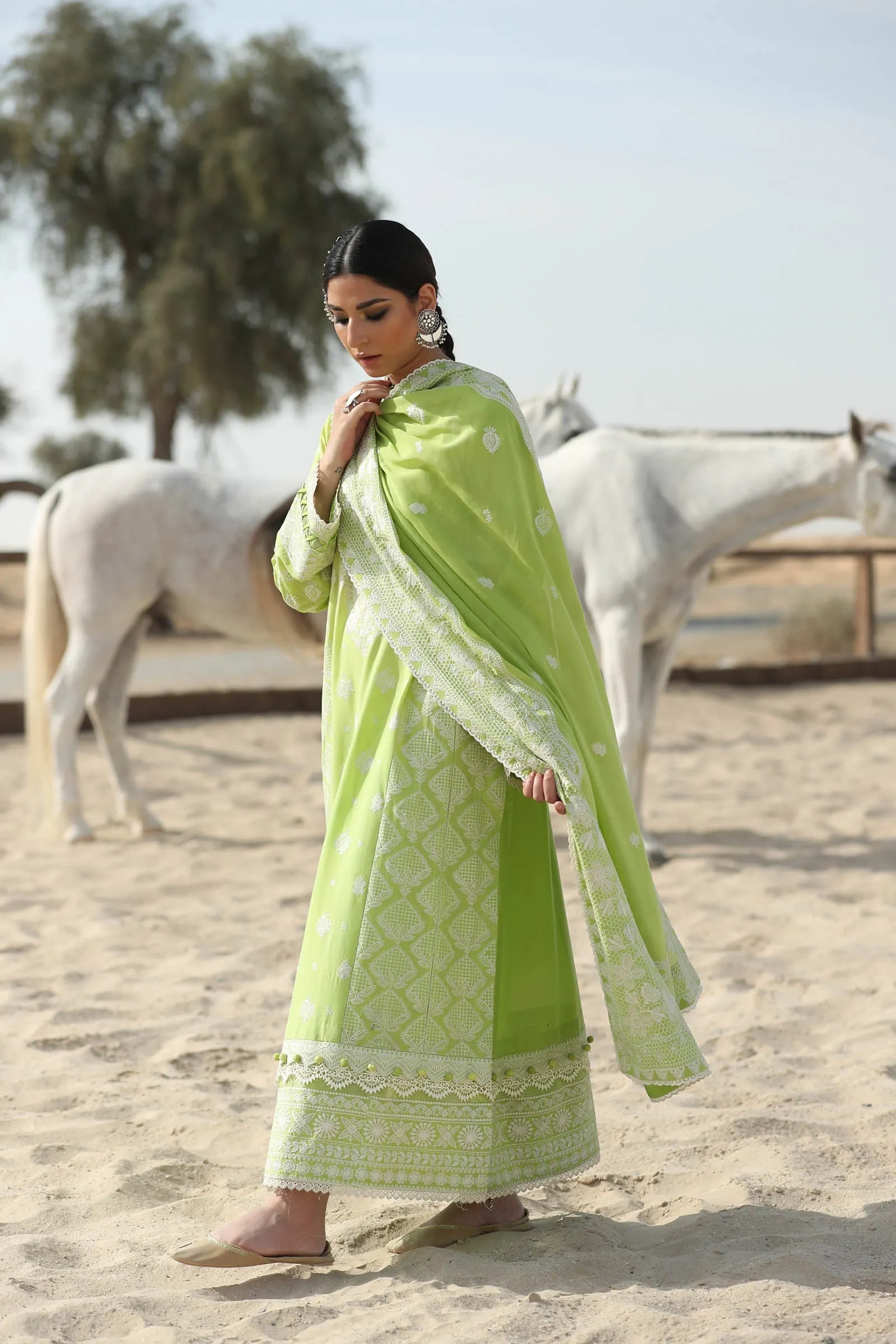 PARISA (ZL22-03 A) | Zaha Summer Lawn Collection 2022 | Unstitched Embroidered Lawn Suits