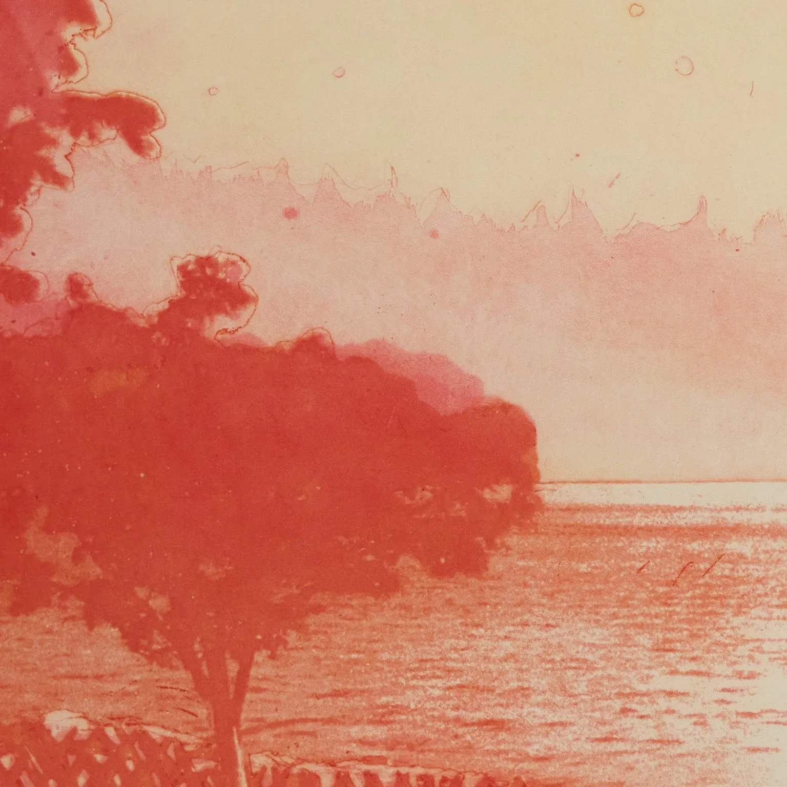 PETER DOIG "MULDENBERG" ETCHING, 2001