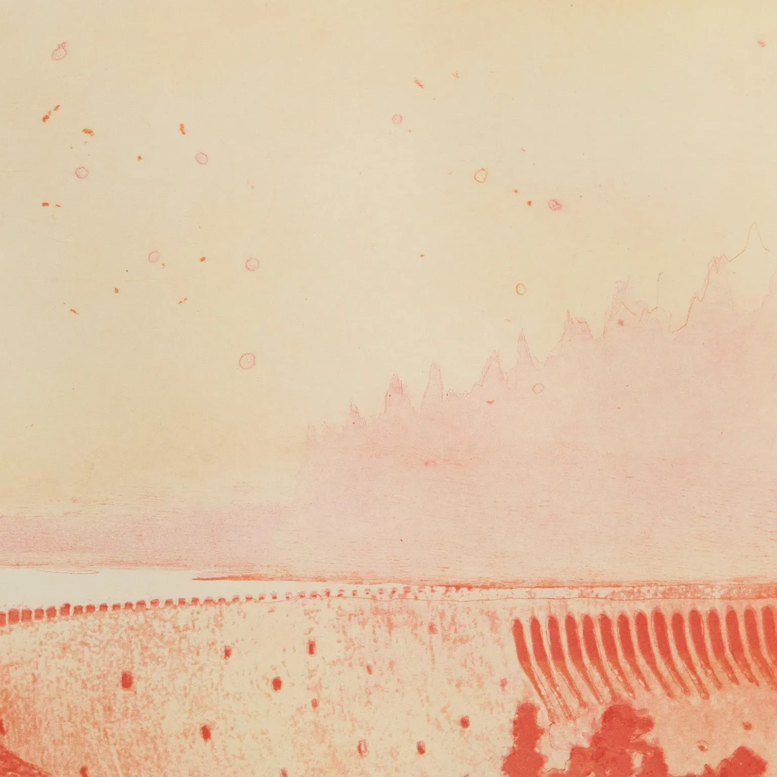 PETER DOIG "MULDENBERG" ETCHING, 2001