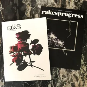 Rakes SENSE / Rakesprogress magazines at Indigo