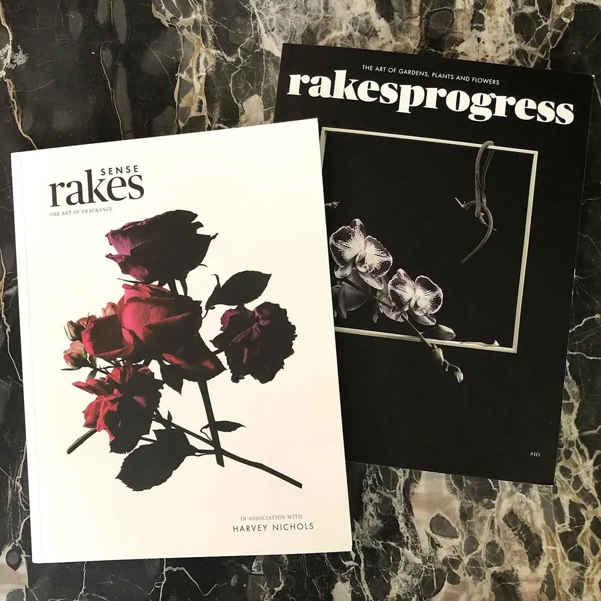 Rakes SENSE / Rakesprogress magazines at Indigo