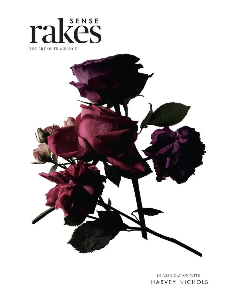 Rakes SENSE / Rakesprogress magazines at Indigo