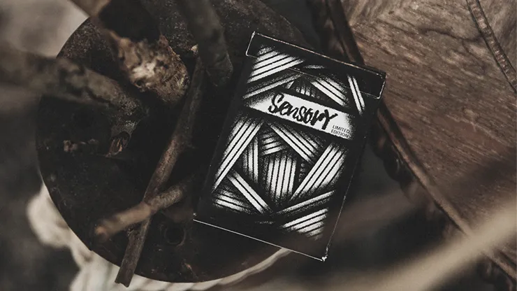Sensory Playing Cards (Dark) by TCC