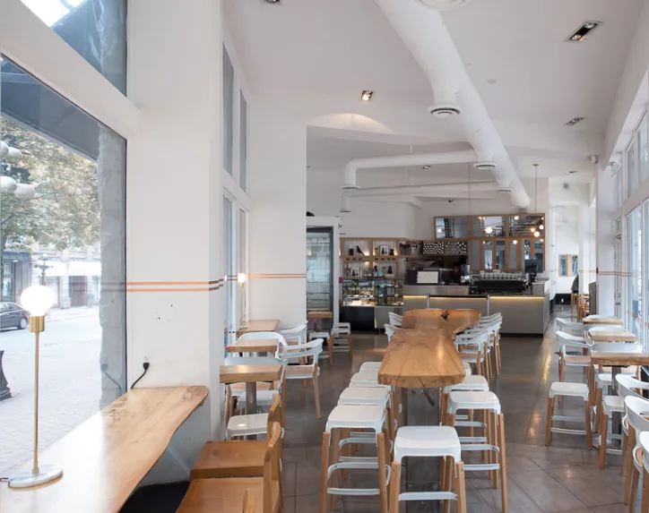 Surry Hills Dual Head Modern Minimalist Chandelier