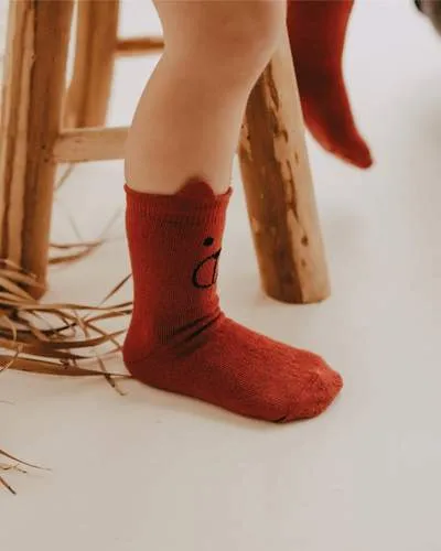 The Hector 3-pack Character Socks - KIDS