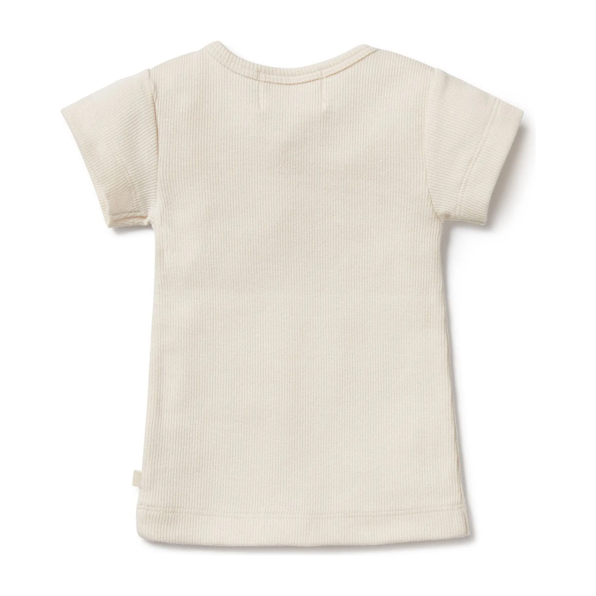Tiny Turtle Organic Tee