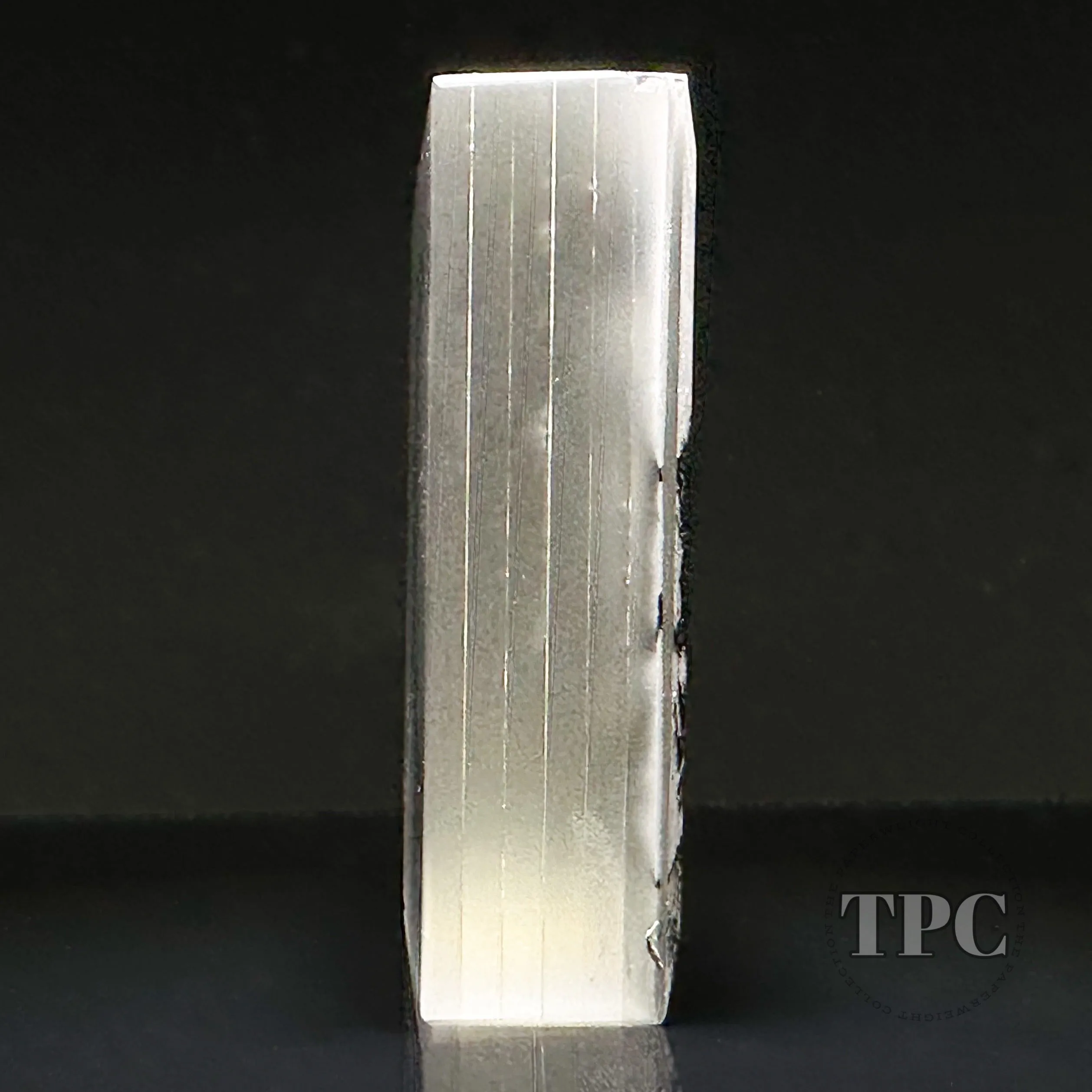 Trevor Beck 2023 Glass Art Paperweight Plaque Detail Monochromatic Frit Portrait of Ernesto "Che" Guevara